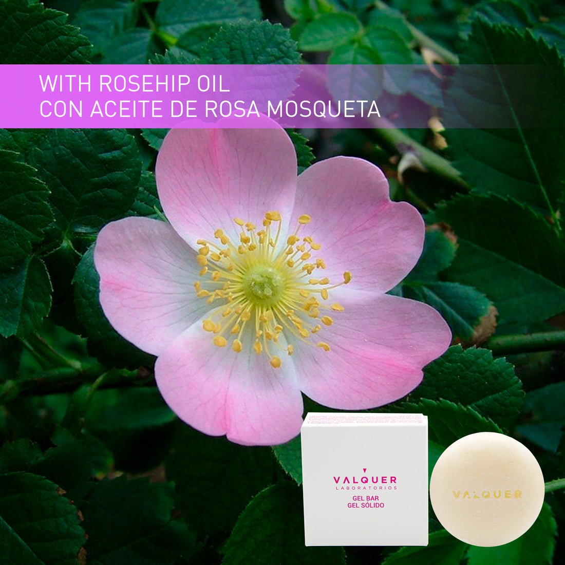 Gel sólido Velvet para Pieles Atópicas (con Rosa Mosqueta) - 50gr